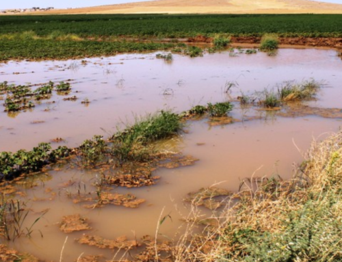 GAP vurgulandı: Uzmanlardan kritik uyarı—Türkiye 2030’da “su fakiri” olabilir